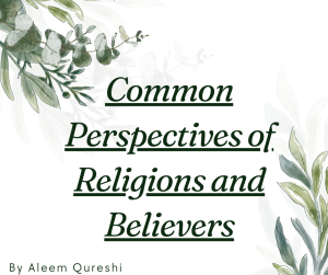 Aleem Qureshi Blog 4